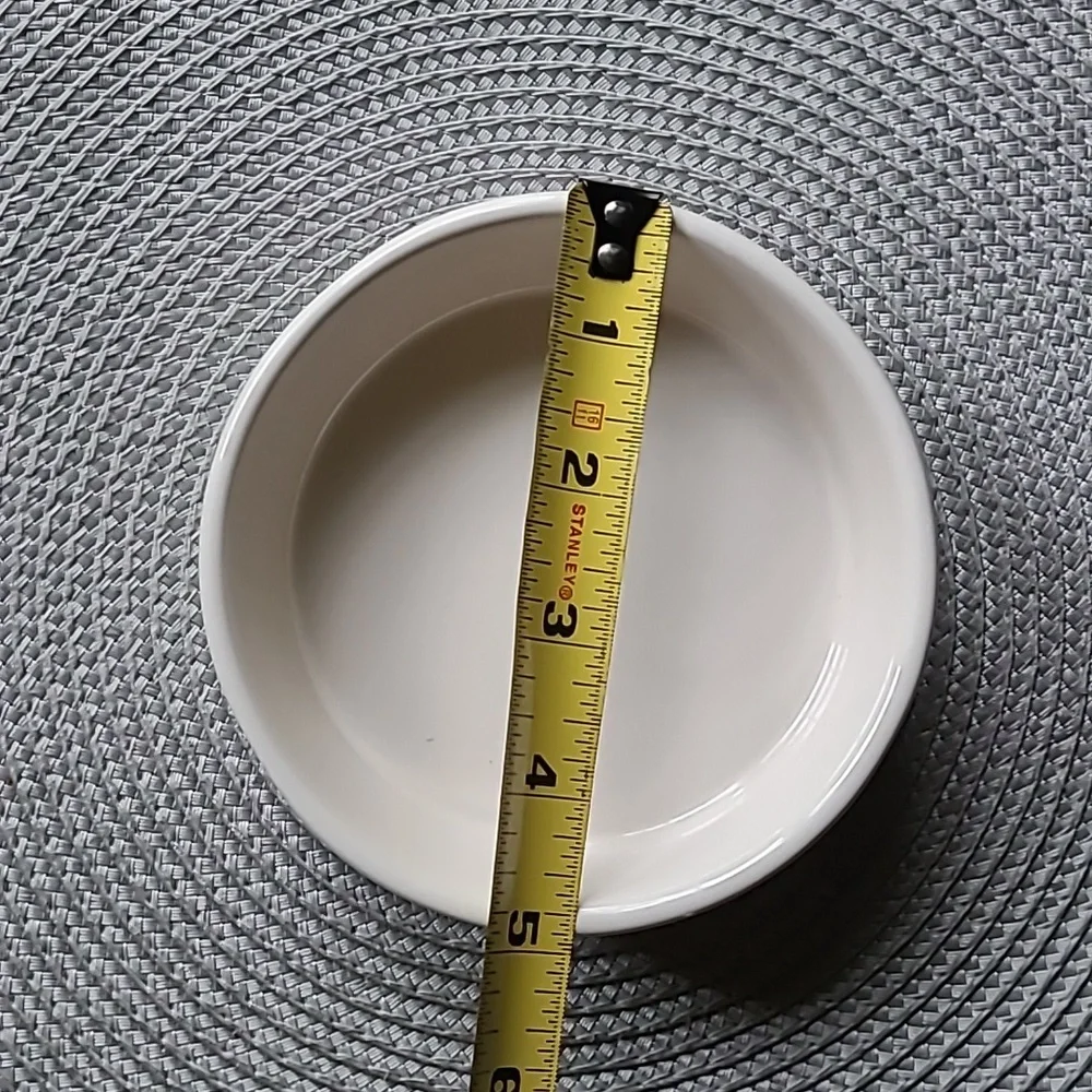 Rae Dunn Pet Dish